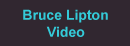 Bruce Lipton